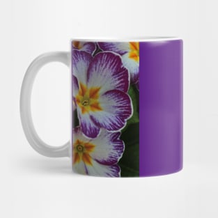 Primula  yellow violett Mug